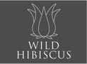 Wild Hibiscus
