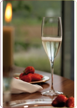 Riedel - Grape@Riedel, "Champagne Glass" 1 Sektglas (6404/28)
