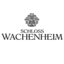 Schloss Wachenheim